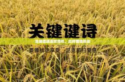 曼城遭遇连败危机，瓜帅面临挑战