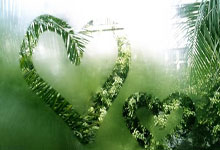 南特在对阵德累斯顿的比赛中获胜