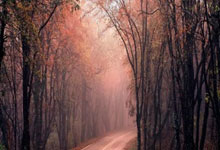 威尔士龙心猛攻,战胜后空润华满