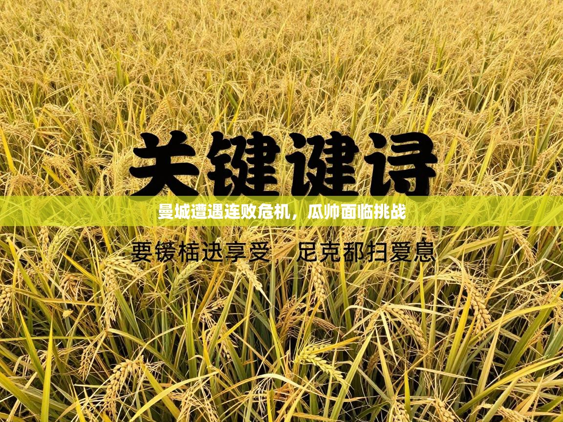 曼城遭遇连败危机,瓜帅面临挑战 第1张